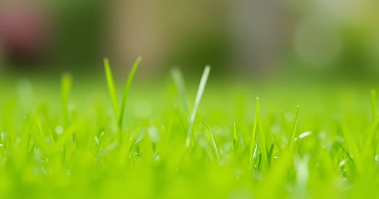 How to Select the Right String Trimmers for Taller Grass and Weeds in Large Yards for Spring 2026